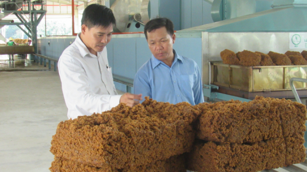 Khấm khá nhờ làm công nhân cao su