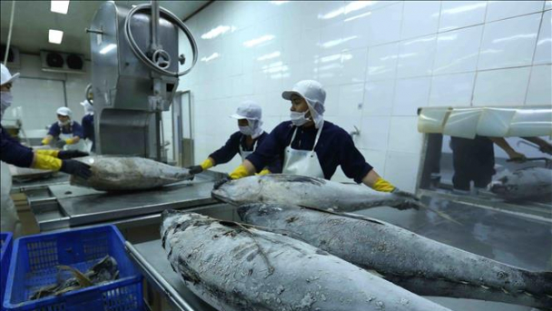 Xuất khẩu hải sản 9 tháng 2021 đạt 2,4 tỷ USD