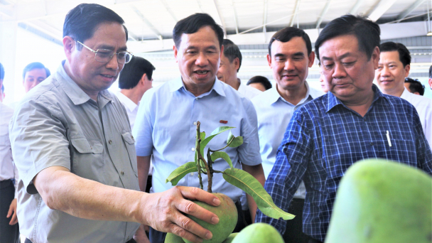Đa dạng thị trường, nâng hàm lượng công nghệ trong chế biến rau quả
