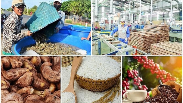 Có 7 mặt hàng nông sản xuất khẩu trên 2 tỷ USD