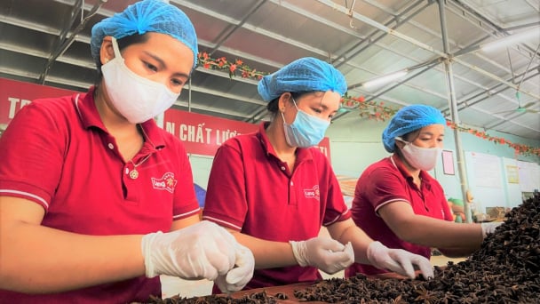Xuất khẩu gia vị của Việt Nam 2022 đạt 1,5 tỷ USD