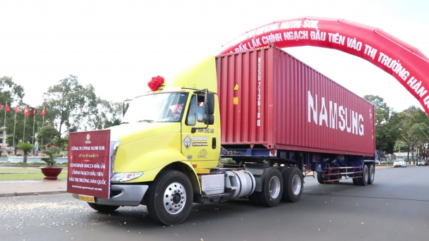 Lô mắc ca đầu tiên xuất khẩu chính ngạch sang Hàn Quốc