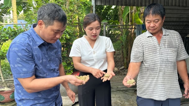 Người mở lối cho thịt lợn trà xanh