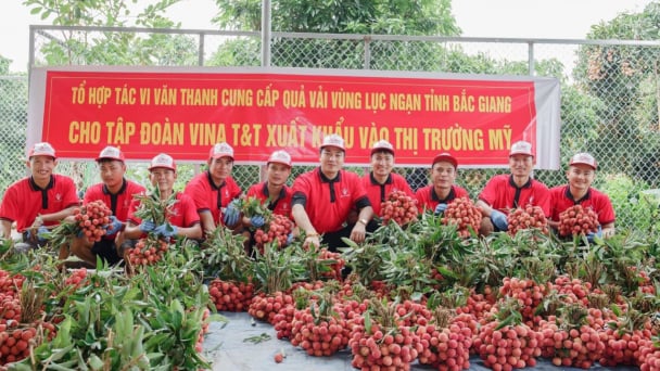 Vietnam's fruit and vegetable exports have great potential in the USA