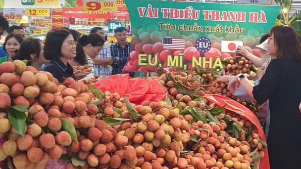 Hai Phong's agricultural potential poised for strategic investment opportunities