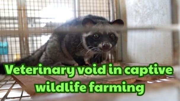 When wild animals fall off the epidemic map
