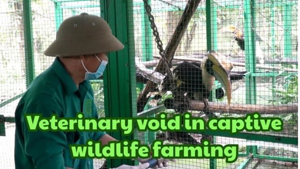 Keeping disease at bay from the cage up