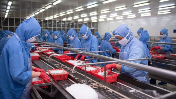 Multi-channel, multi-directional Vietnamese agricultural markets: [4] EVFTA and the 0% tax advantage