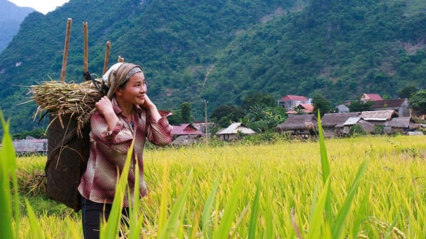 Vietnam is a bridge for agricultural knowledge sharing between Asia and Africa