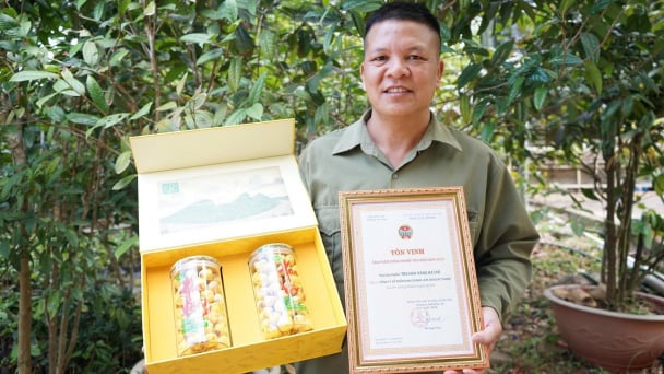 OCOP Quang Ninh: Expanding the value chain towards export