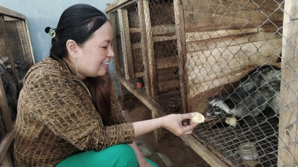 Warning of disease risk from wildlife to humans in Vietnam