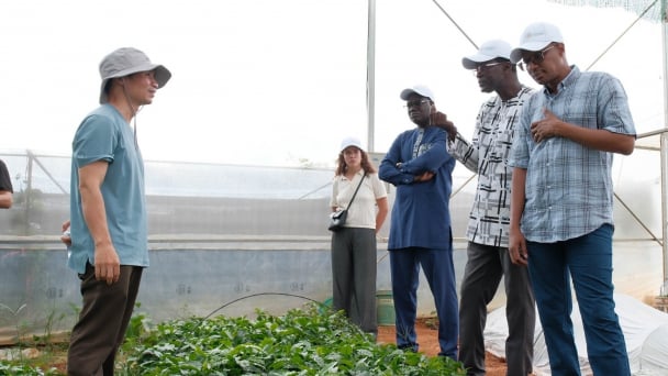 From South-South cooperation to a vision for global food security
