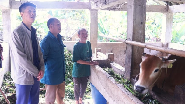 Lo 'nhà' cho bò như lo cho người