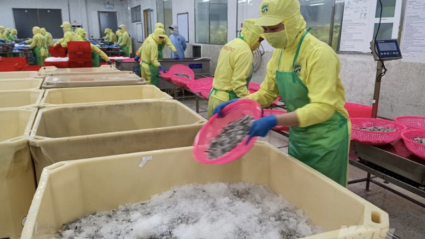 Cà Mau: Mục tiêu tăng trưởng xuất khẩu nông nghiệp bình quân khoảng 8%/năm