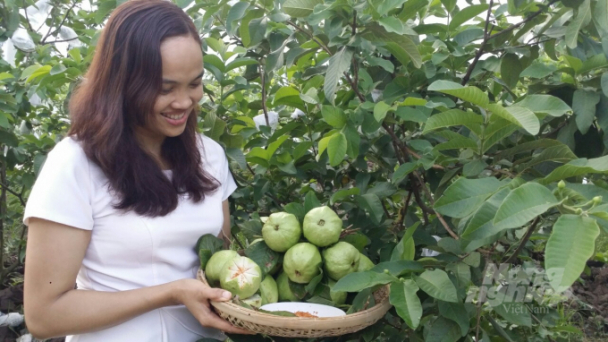 Đẩy mạnh phát triển Chương trình OCOP từ sản phẩm nông nghiệp
