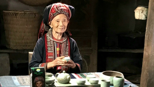Quintessence of Vietnamese agricultural products: Phin Ho tea