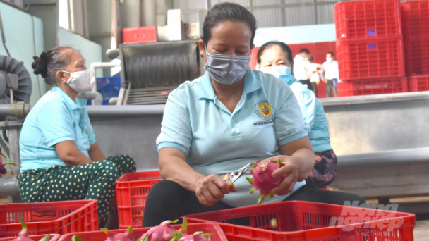 Nearly 1,000 new regulations on food safety standards each year