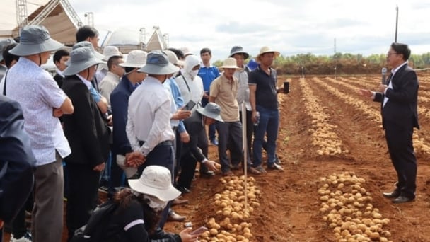 Production linkage to elevate fruit and vegetable quality