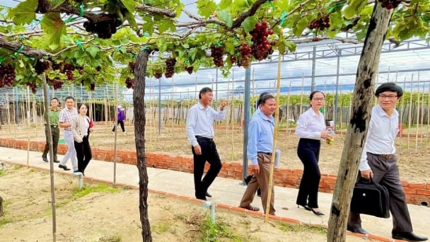 Chuẩn bị đội ngũ triển khai Bộ tiêu chí nông thôn mới