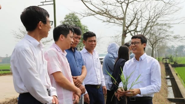Chính thức vận hành sàn giao dịch carbon: [Bài 4] Doanh nghiệp sẵn sàng nhập cuộc