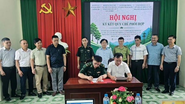 Lạng Sơn lập thế trận giữ rừng từ cơ sở
