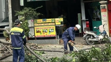 TPHCM ưu tiên rà soát các khu vực bị ngập, nguy cơ sạt lở