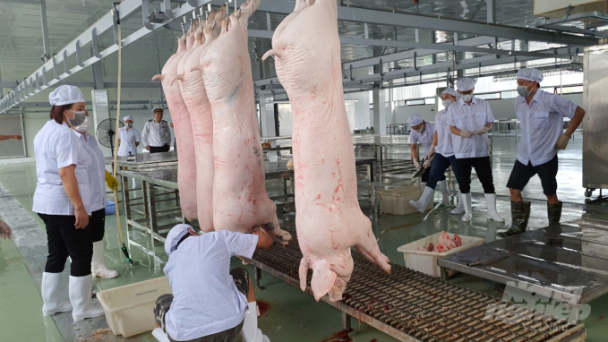 Nên sử dụng sản phẩm gia súc, gia cầm có tem, dấu kiểm soát