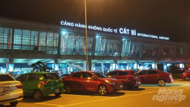 Sân bay Cát Bi liên tiếp bị cắt trộm cáp điện