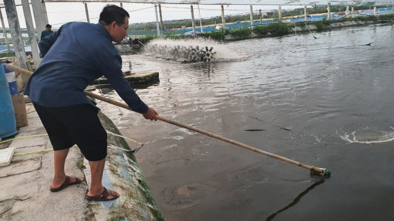 Người dân Hải Phòng chống rét cho thủy sản