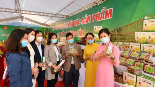 Chủ động quảng bá và liên kết tiêu thụ sản phẩm OCOP