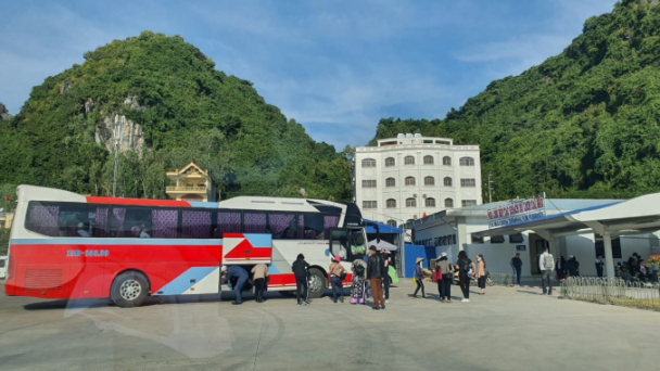Cát Bà đón khách du lịch lưu trú trở lại