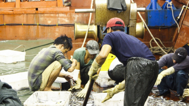 Tàu thuyền 'ngại' vươn khơi, giá hải sản cao ngất ngưởng