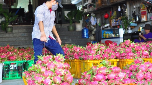Cần lời giải cho bài toán 'giải cứu nông sản'