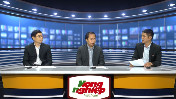 Chủ động ứng phó nguy cơ bùng phát bệnh đạo ôn ở các tỉnh phía Bắc