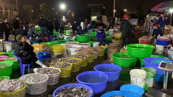 Quảng Ninh thắt chặt kiểm soát dịch bệnh Covid-19 tại cảng thuỷ sản