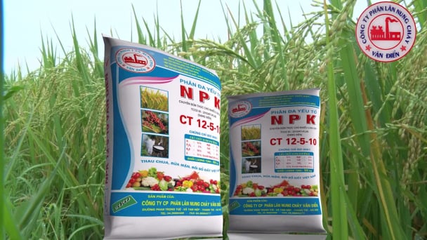 Phân bón Văn Điển khẳng định thương hiệu trên vùng đất chua trũng lầy thụt