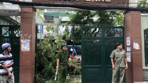 Phong tỏa hiện trường cây phượng đổ đè 13 học sinh