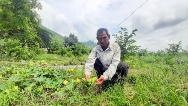 Tây Ninh: Đất nông nghiệp khô khát do hậu quả khai thác đá