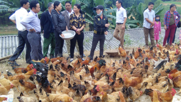 OCOP, chìa khóa gỡ nút thắt cho sản phẩm đặc trưng