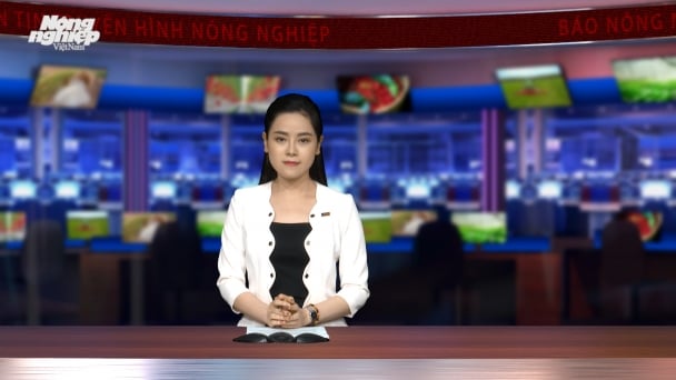 Đảm bảo an ninh nguồn nước cho Đồng bằng sông Cửu Long