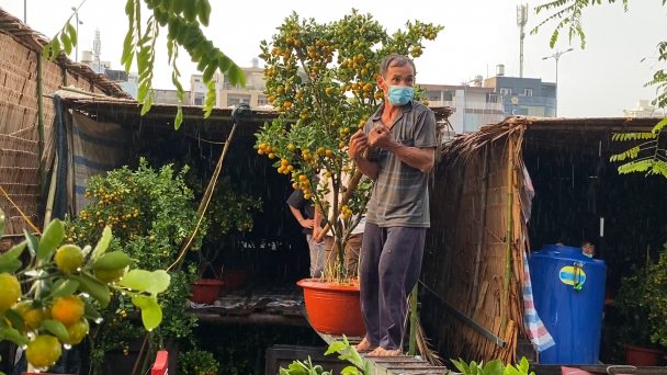 Thương lái bán hoa tết lo lắng vì sức mua sụt giảm