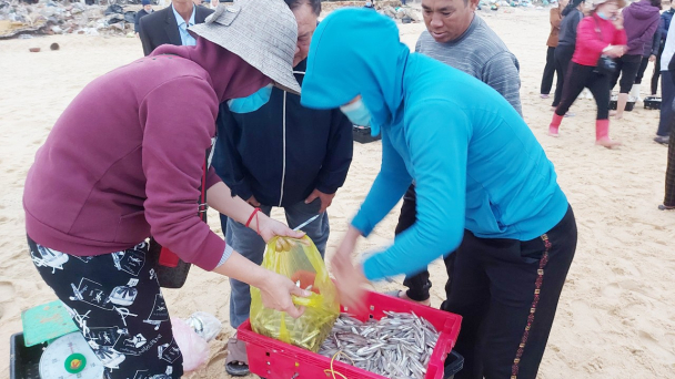 Rộn ràng lộc biển đầu Xuân