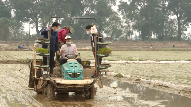 Bí thư, Chủ tịch Hà Nội xuống đồng cấy máy cùng nông dân