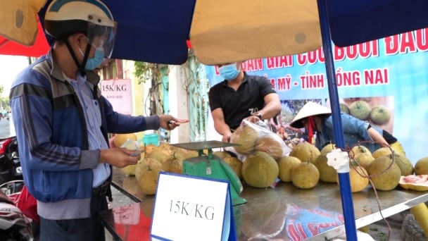 Bưởi đào Đồng Nai được 'giải cứu' tại TP.HCM