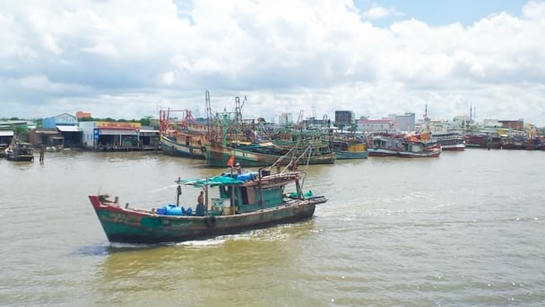 Cà Mau phát triển kinh tế biển