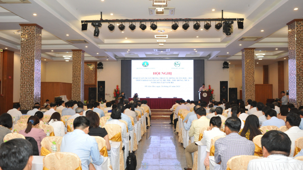 Vụ lúa đông xuân ĐBSCL thắng lợi kép