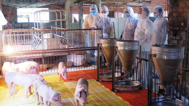 Kiện toàn, củng cố hệ thống ngành thú y đến 2030