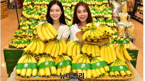 Chuối Việt Nam đẩy chuối Philippines khỏi thị trường Trung Quốc