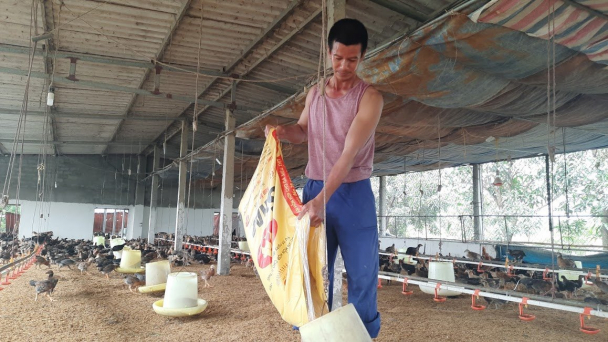 Giá thức ăn chăn nuôi chuẩn bị tăng lần thứ 7