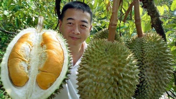 Thái Lan đặt mục tiêu doanh thu 3,9 tỷ USD xuất khẩu trái cây tươi